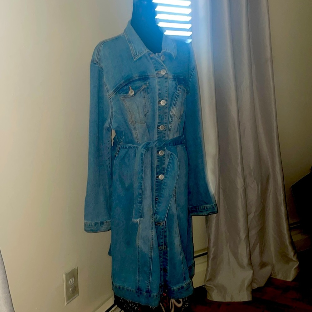Eloquii Denim Button Front Dress